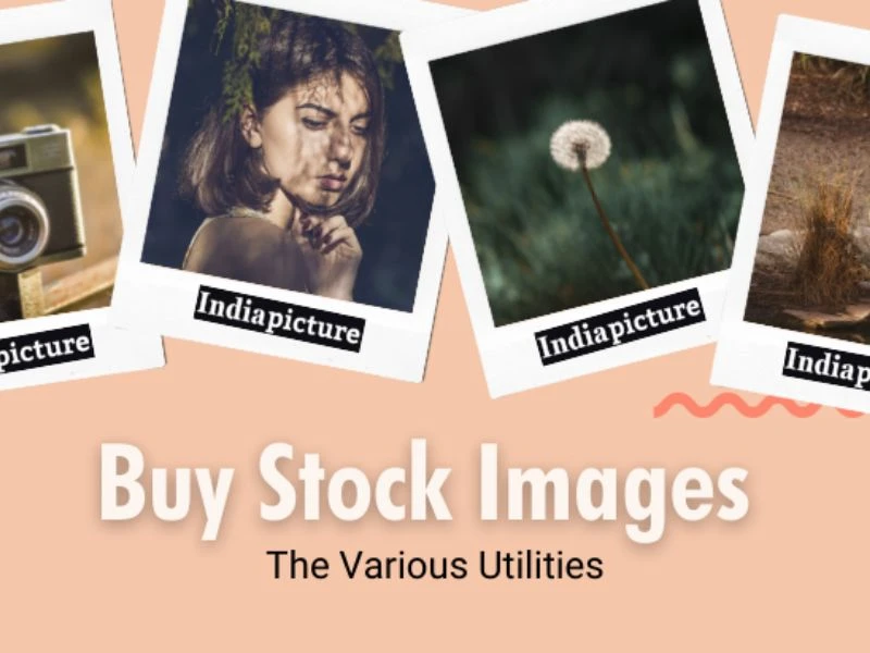 Buy Stock Images - Fuel your Creativity with Unlimited Options