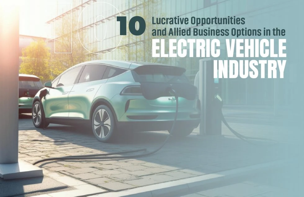 Business Options in the Electric Vehicle Industry