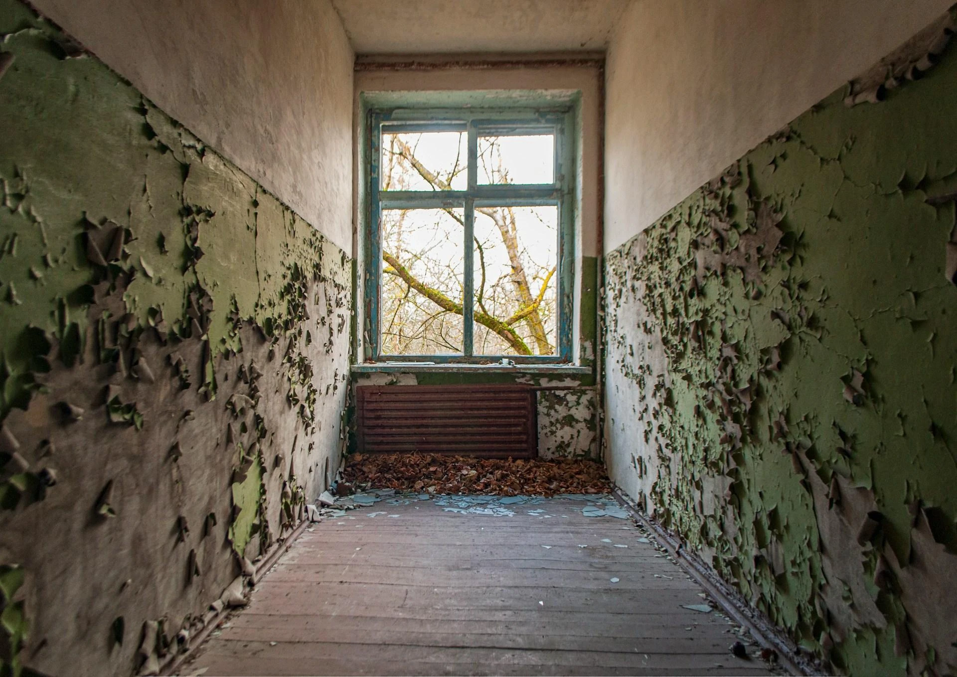 The Ultimate Guide to Mold Testing and Inspection in Los Angeles