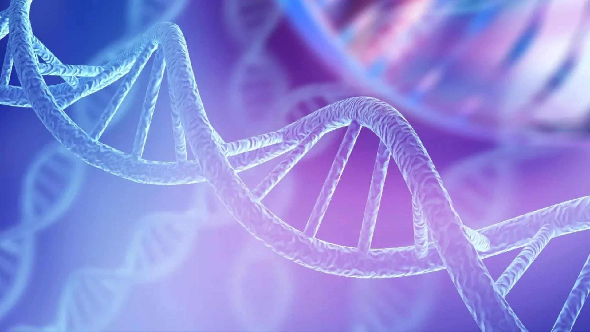 Molecular Diagnostics Market Share To Demonstrate Enormous Rise Over Estimated Forecast Timeline – iSay Research