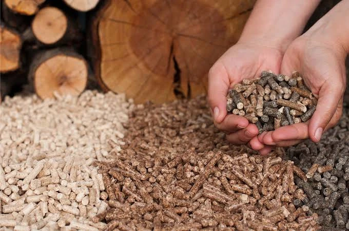 Energy Efficiency: Why 16mm Biomass Pellets are a Smart Choice