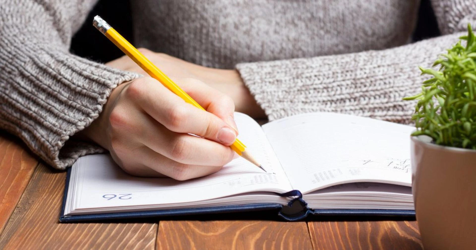 Learn How To Persuade And Indulge Readers: Techniques To Write A Compelling Book