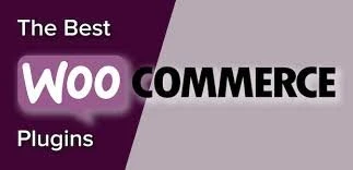 The Ultimate Guide Of Top 2 WooCommerce Plugin How To Increase You Store Sale By Addify Plugins