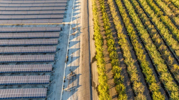 Agrivoltaics Market Growth Outlook Through 2024-2033