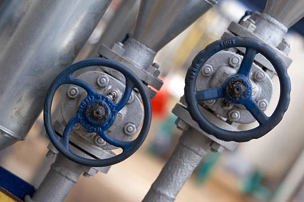 Pigging Valves Market Growth Outlook Through 2024-2033