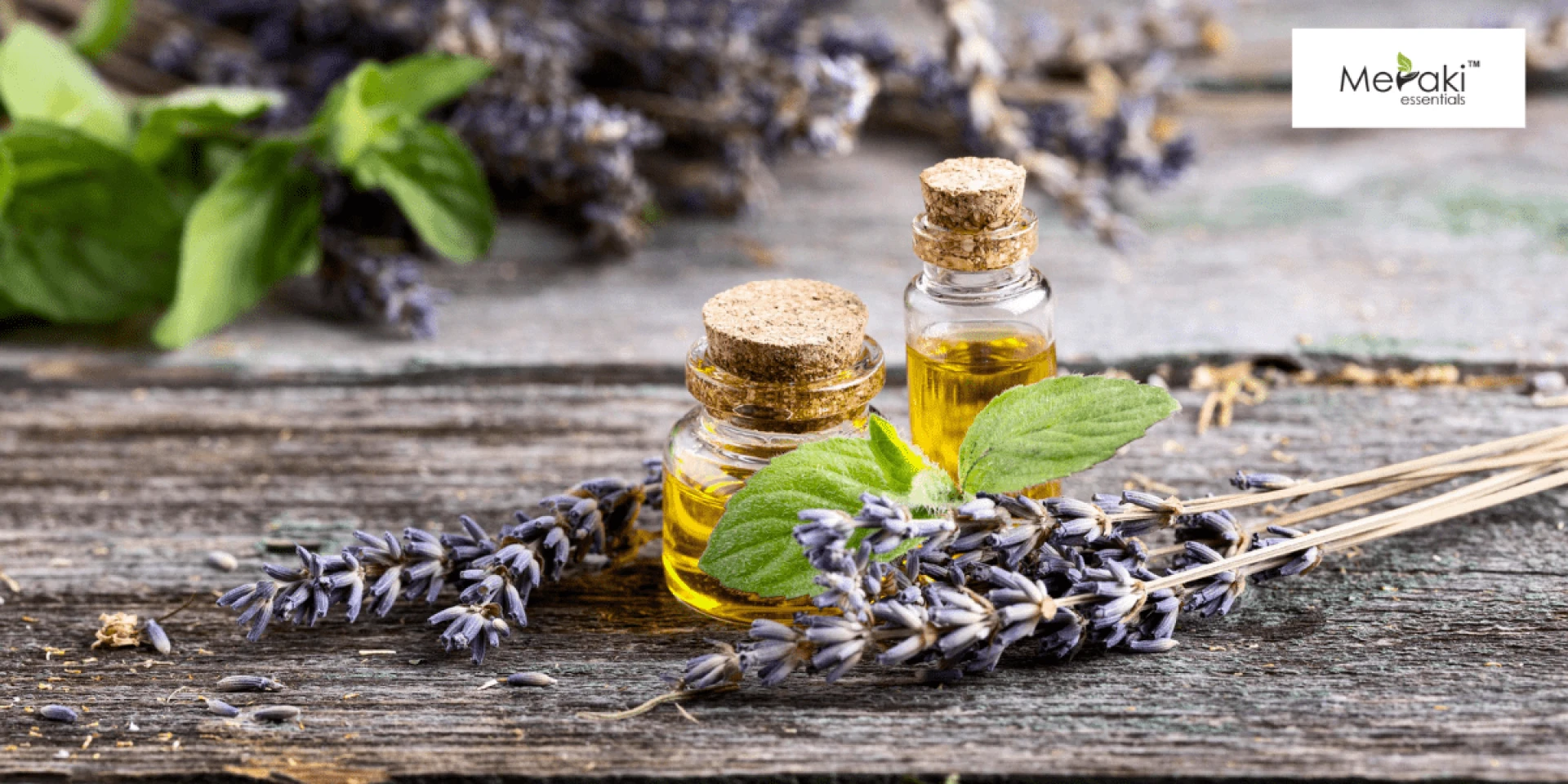 Lavender Essential Oil: Your Key to Relaxation and Wellness