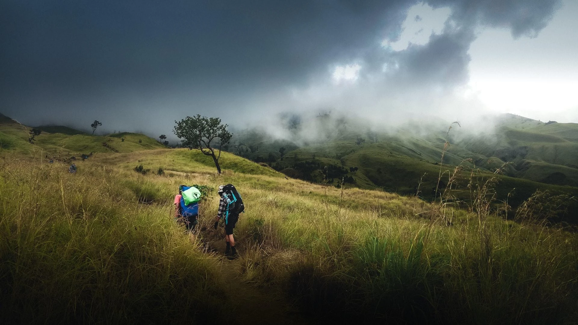 The Best Hiking and Trekking Trails in Sri Lanka