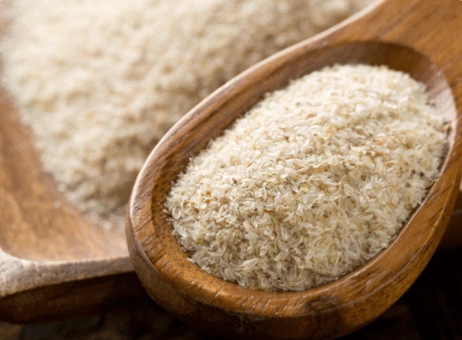Gayatri Psyllium is Manufacturer and Exporter of all Psyllium Products.