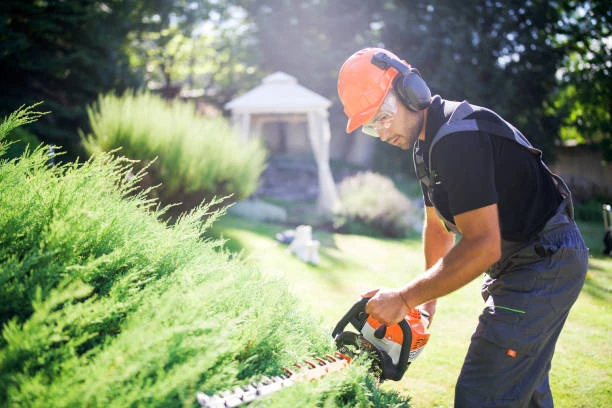 Understanding the Distinction: Landscaping vs Gardening | Surrey Landscaping