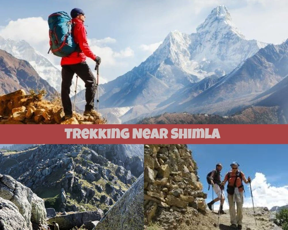 Check Out Some of the Best Terrains in Shimla to Make Your Trekking Experience One of a Kind