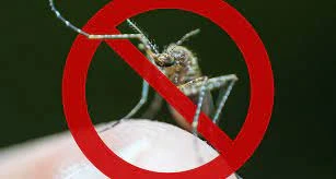 Pest Control Services and Technology