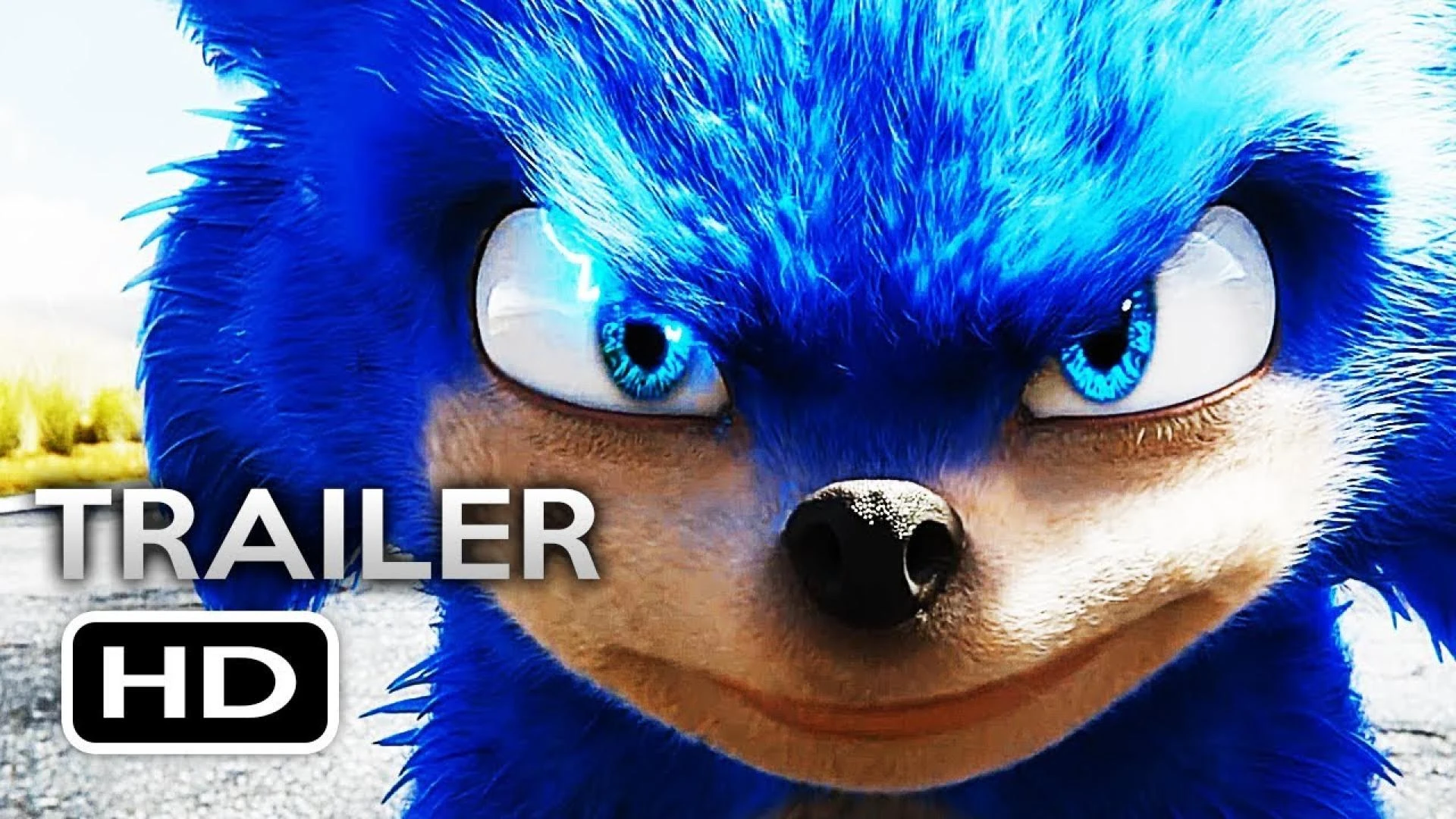 Sonic The actual Hedgehog Live-Action Movie Superstars Dorie