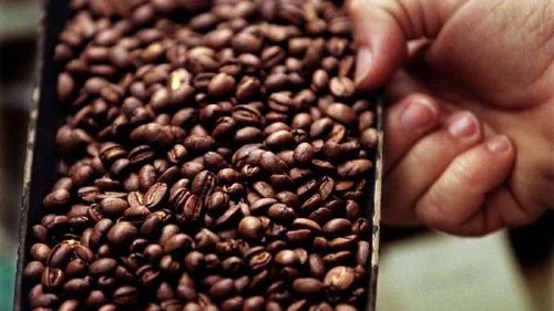 Why you must select the best coffee