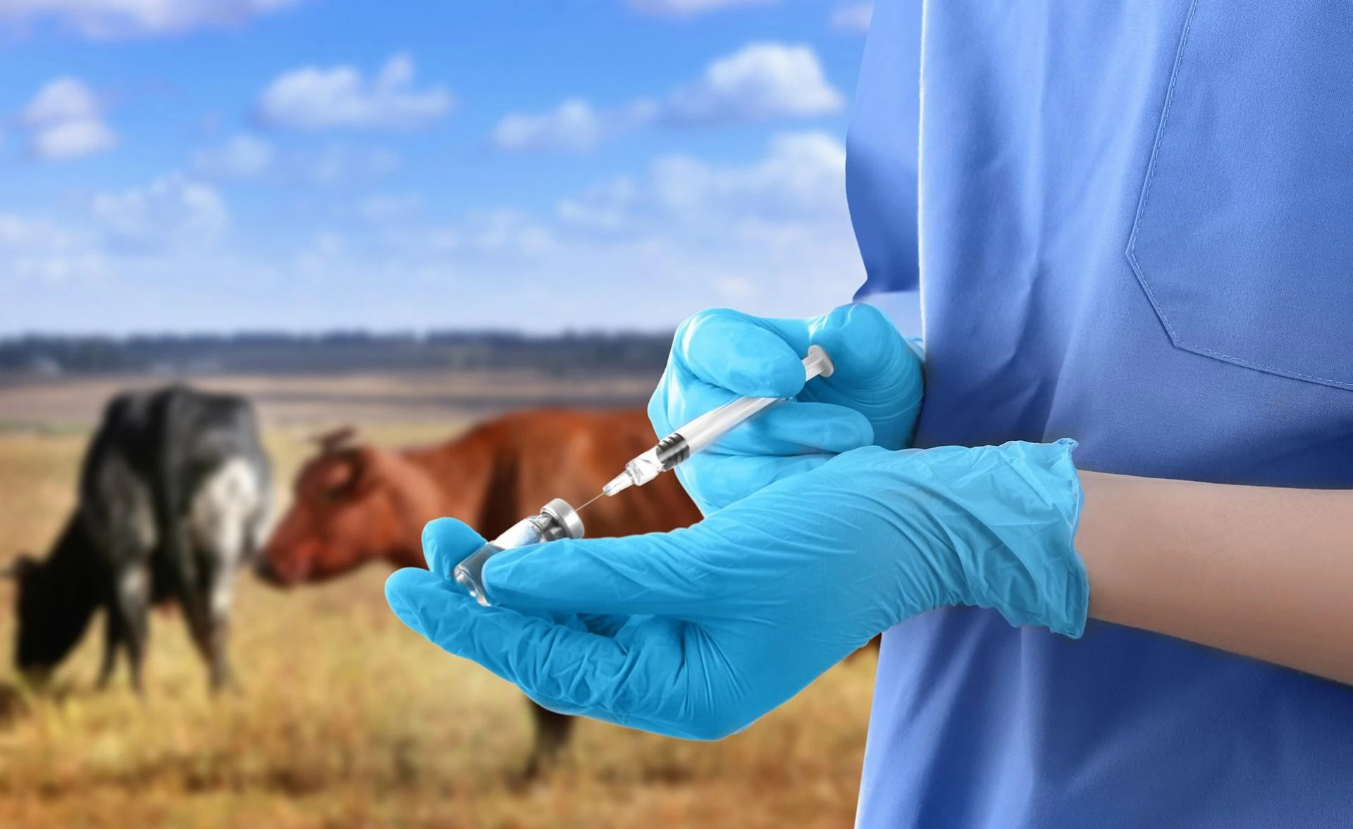 Zaraee is Revolutionizing Agriculture and Livestock Care in Pakistan