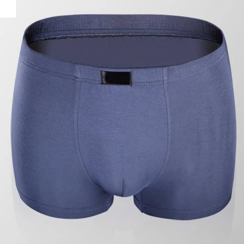 What You Need to Know About Bamboo