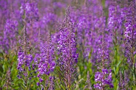 Books That Will Help Kick Start Your Social Sector