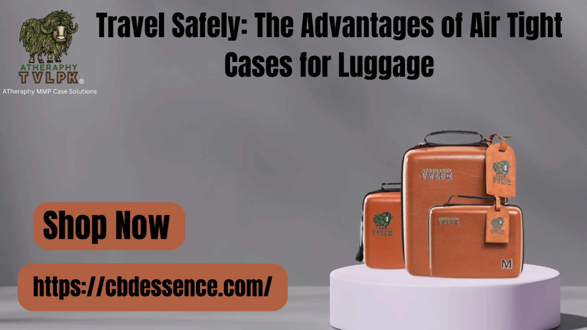 Travel Safely: The Advantages of Air Tight Cases for Luggage