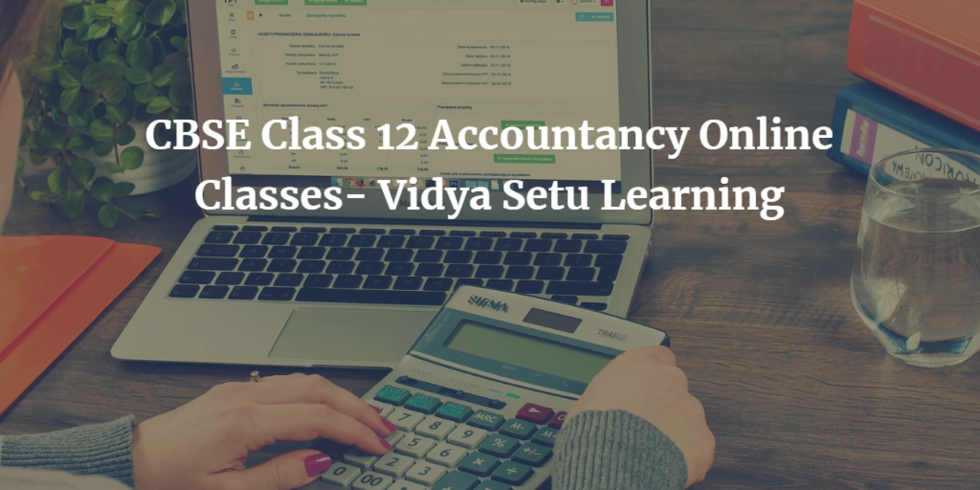 CBSE Class 12 Accountancy Online Classes- Vidya Setu Learning