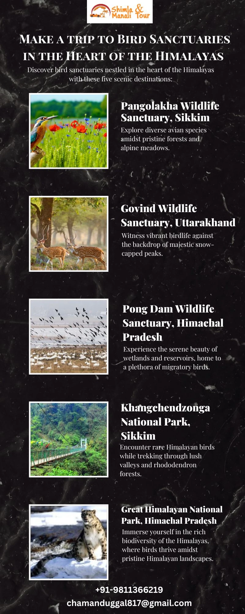 Exploring India's Hidden Treasures Wildlife Sanctuaries in the Himalayas