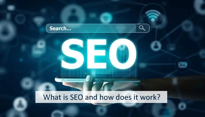 Melbourne SEO Agency's Impact on Your Business
