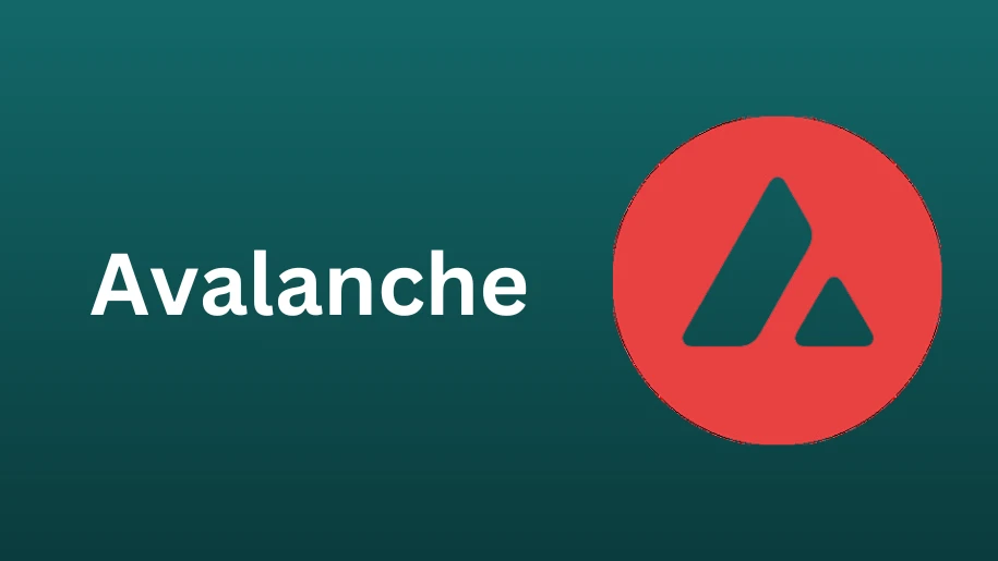 Avalanche Node Setup: A Comprehensive Guide for Beginners