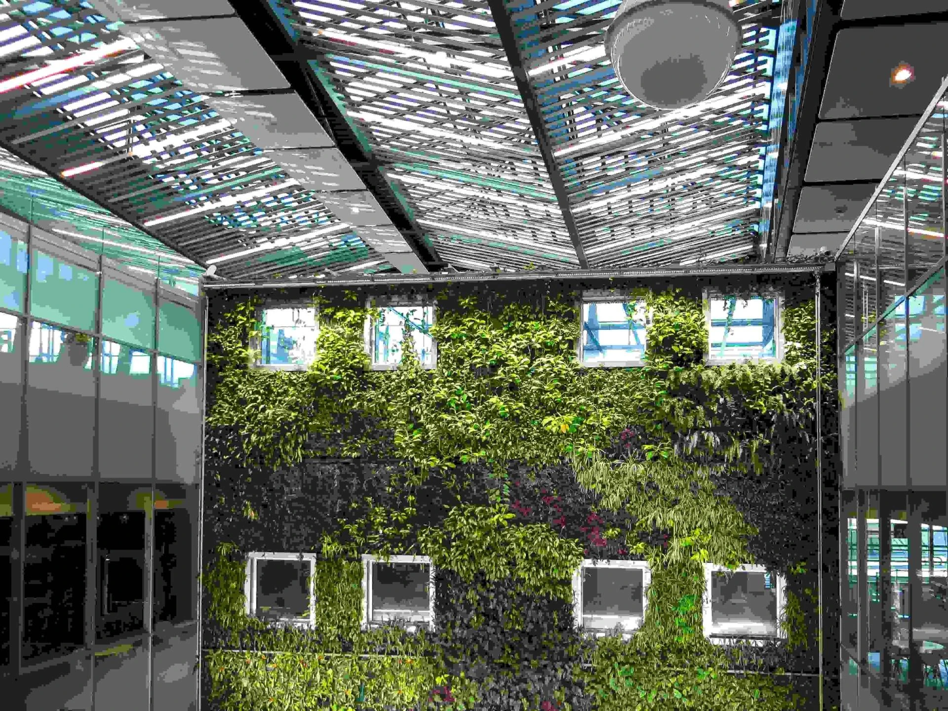Everything You Should Know About Green Building Practices