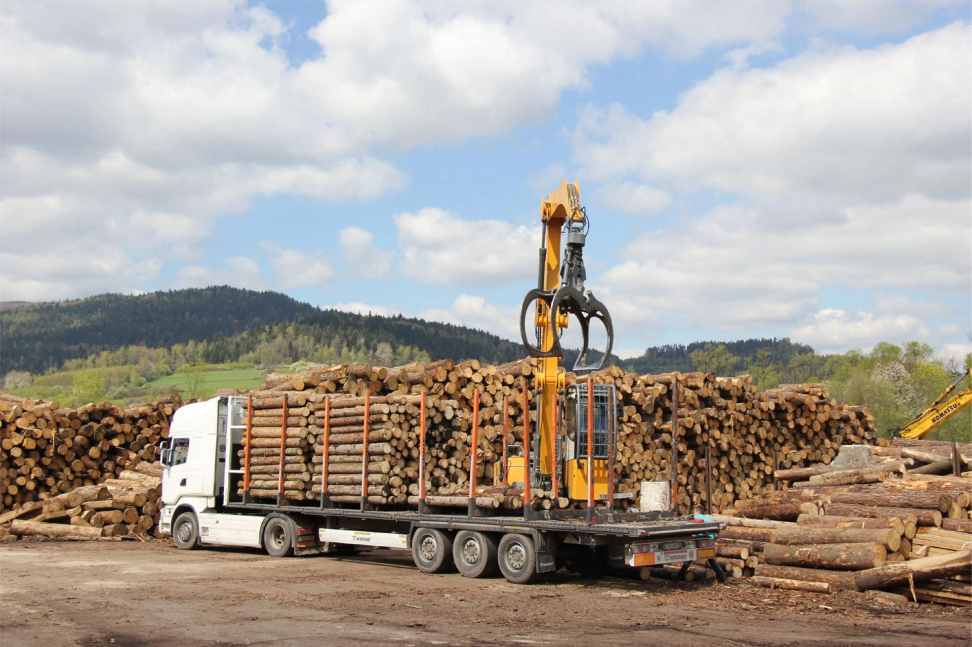 A Guide to New Zealand's Carbon Credits &amp; Emissions Trading Scheme for Foresters