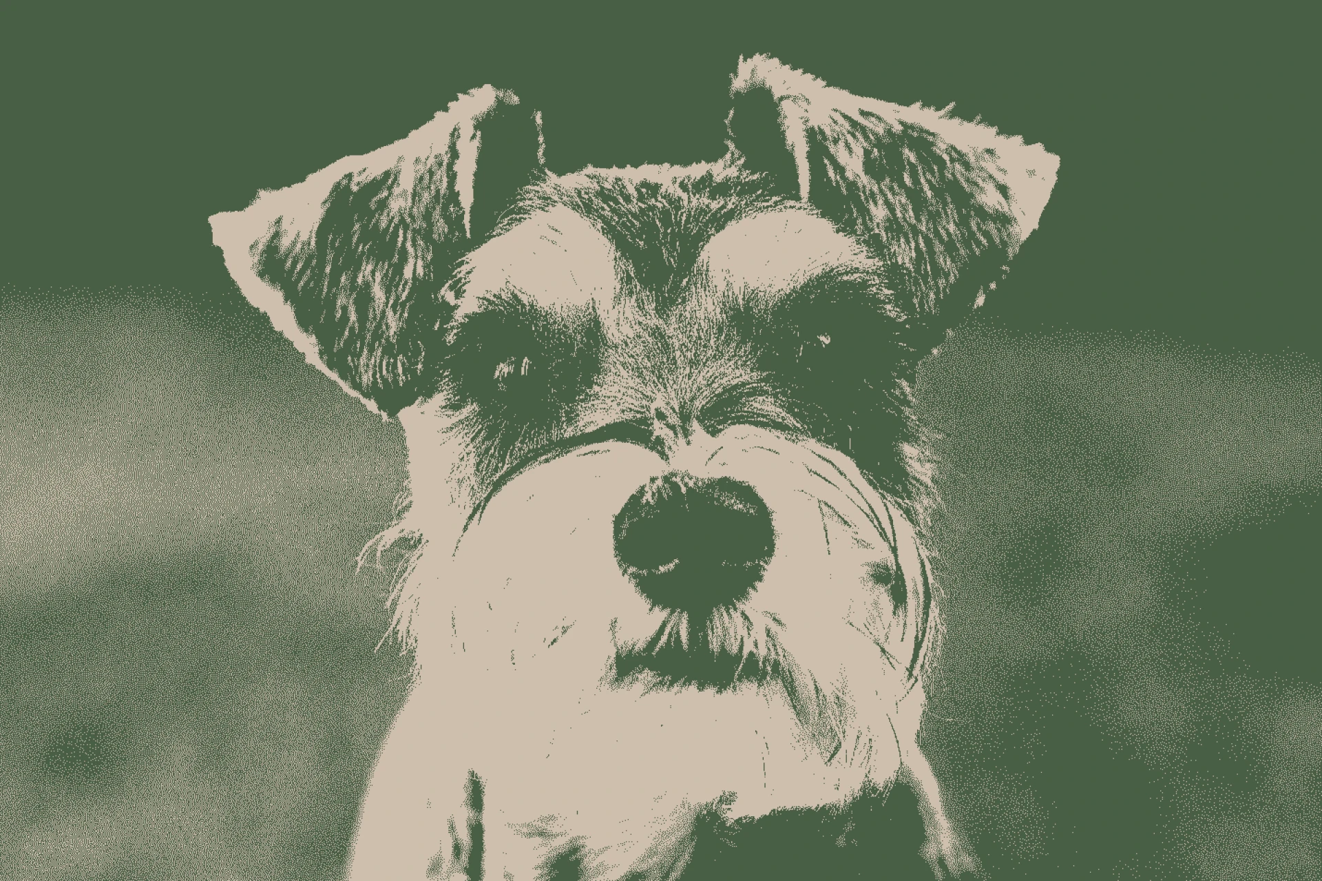 Creating a Safe and Nurturing Environment for Your Canine