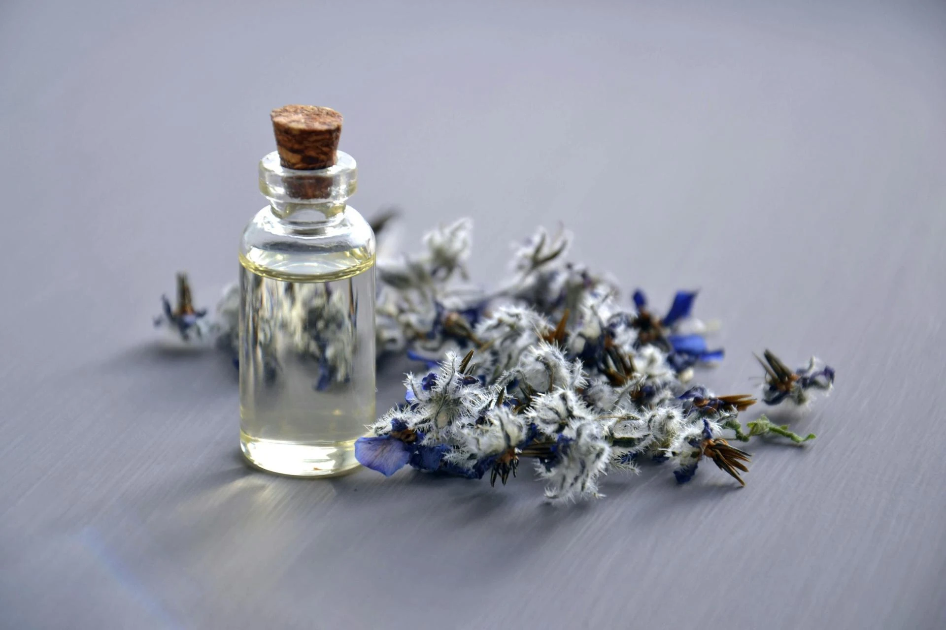 Whispers of Chypre: A Fragrant Tale