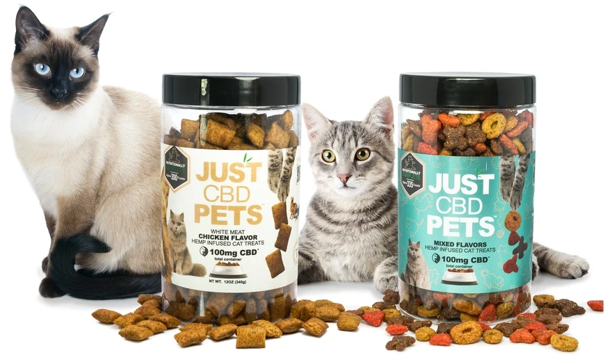 DIY CBD Cat Chews: Recipes and Tips for Homemade Treats: