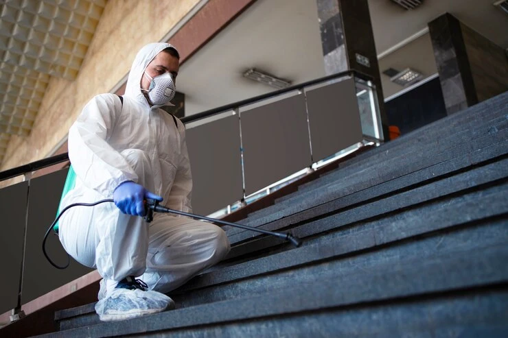 Can Professional Help Control Bed Bugs? Expert Advice