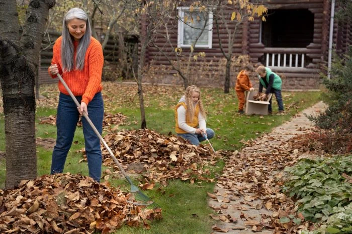 The Benefits of Hiring Experts for Garden Clearance in Bromley