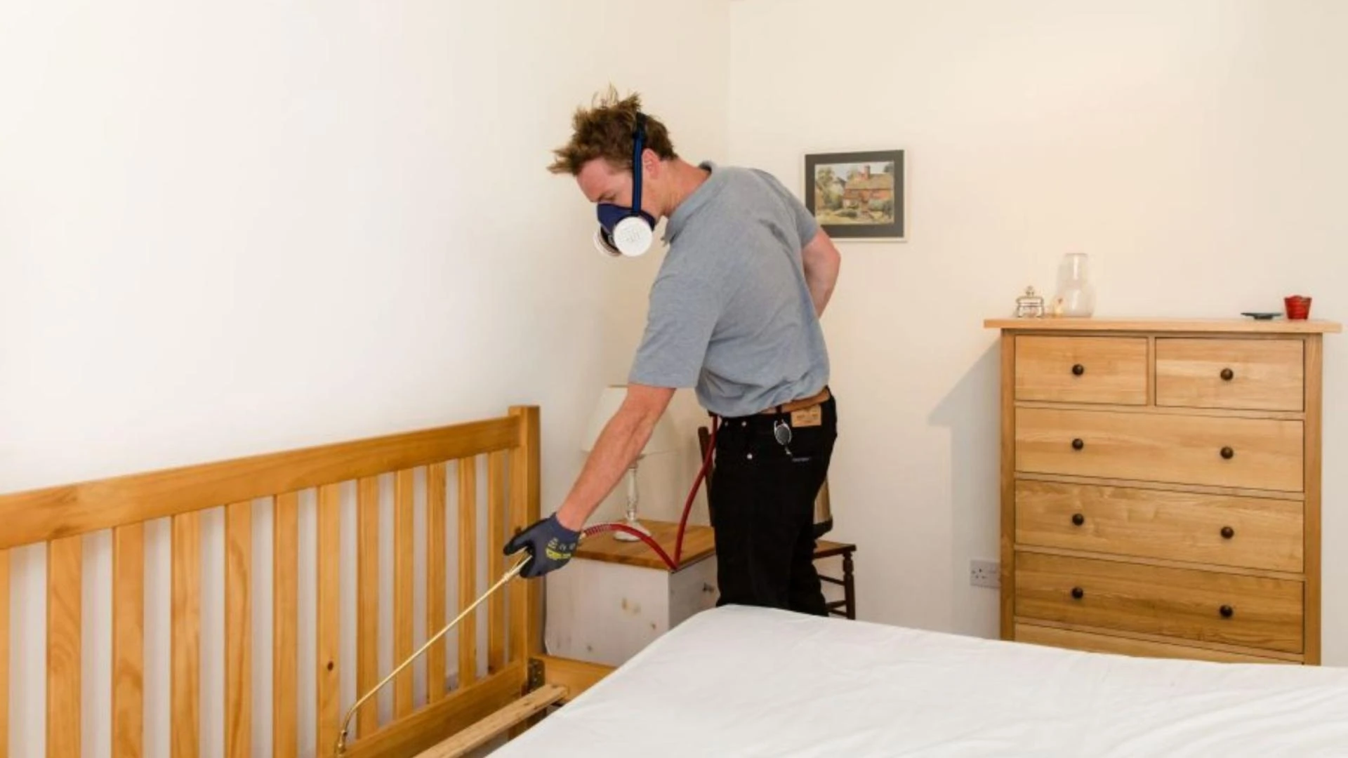 How To Get Rid Of Bed Bugs Fast: 3 Ways To Kill Bedbugs On A Budget