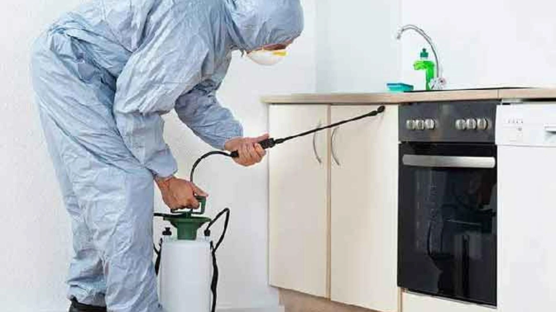 5 Ways To Keep Rodents Out Of Your Home This Winter