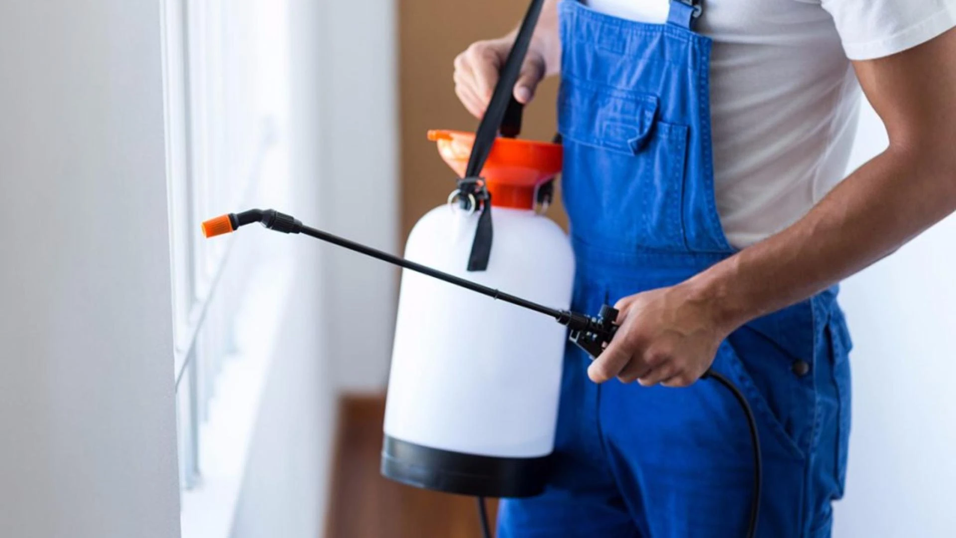 What Are The Requirements For Managing Pest Control In Food Premises?