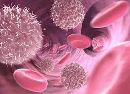 Pirtobrutinib Market: Trends, Forecast, and Competitive Analysis to 2034