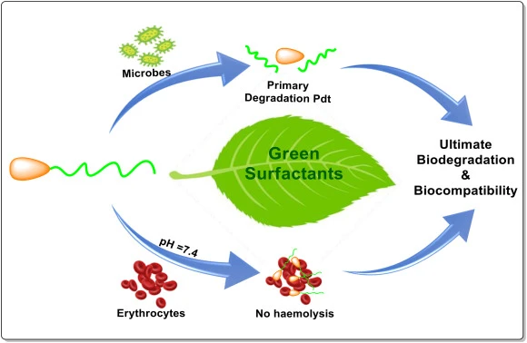 Global Green Surfactants Market Size, Share &amp; Trends Analysis Report 2034