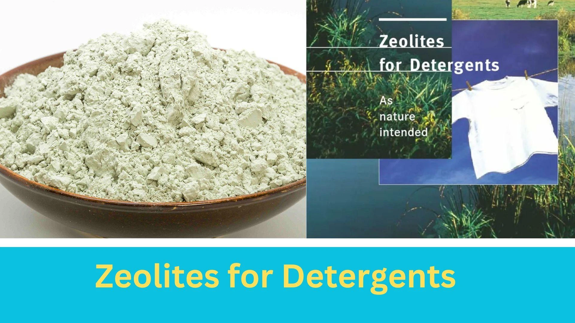 Zeolites for Detergents Market Will Hit Dynamic Growth To Reach USD 2.58 billion by 2035