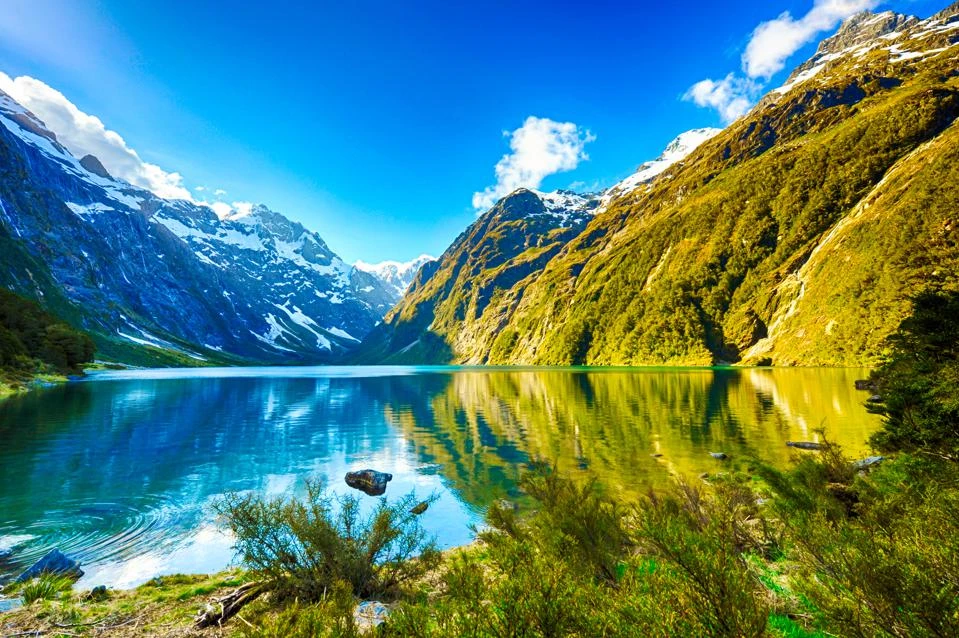 Important Things To Know Before Moving To New Zealand