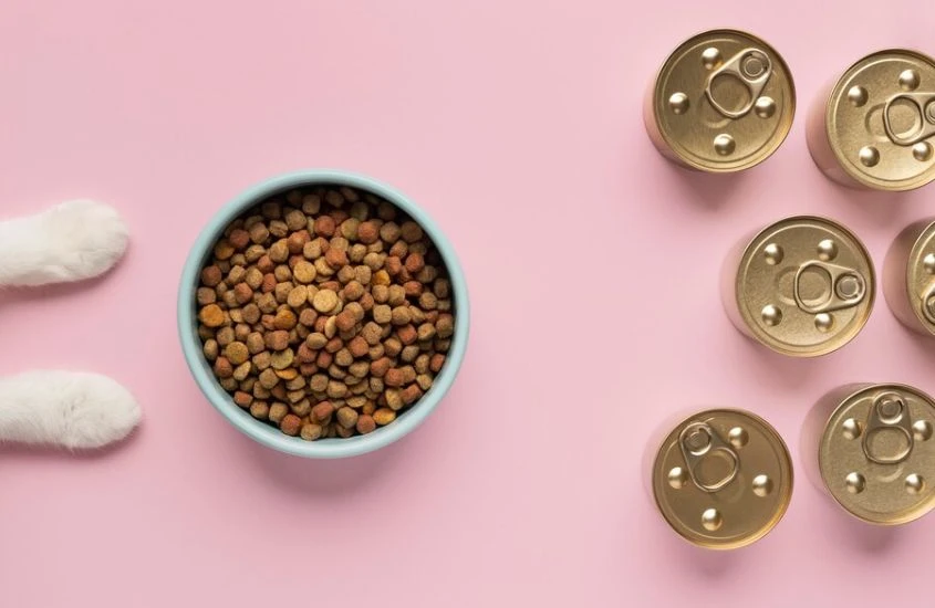 A Comprehensive Review of the Best Dog Food in 2023