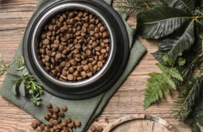 Artisanal Canine Dining: Small Batch Dog Food Selections