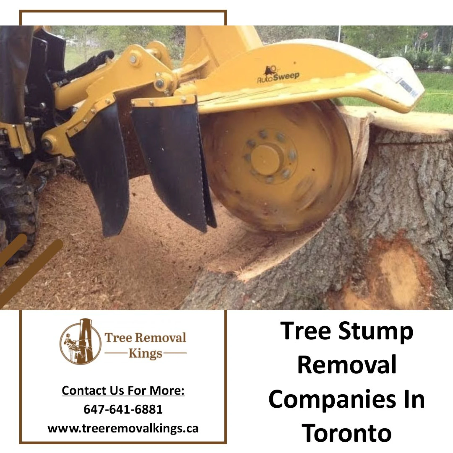 The top 5 mistakes you can make while trimming your trees
