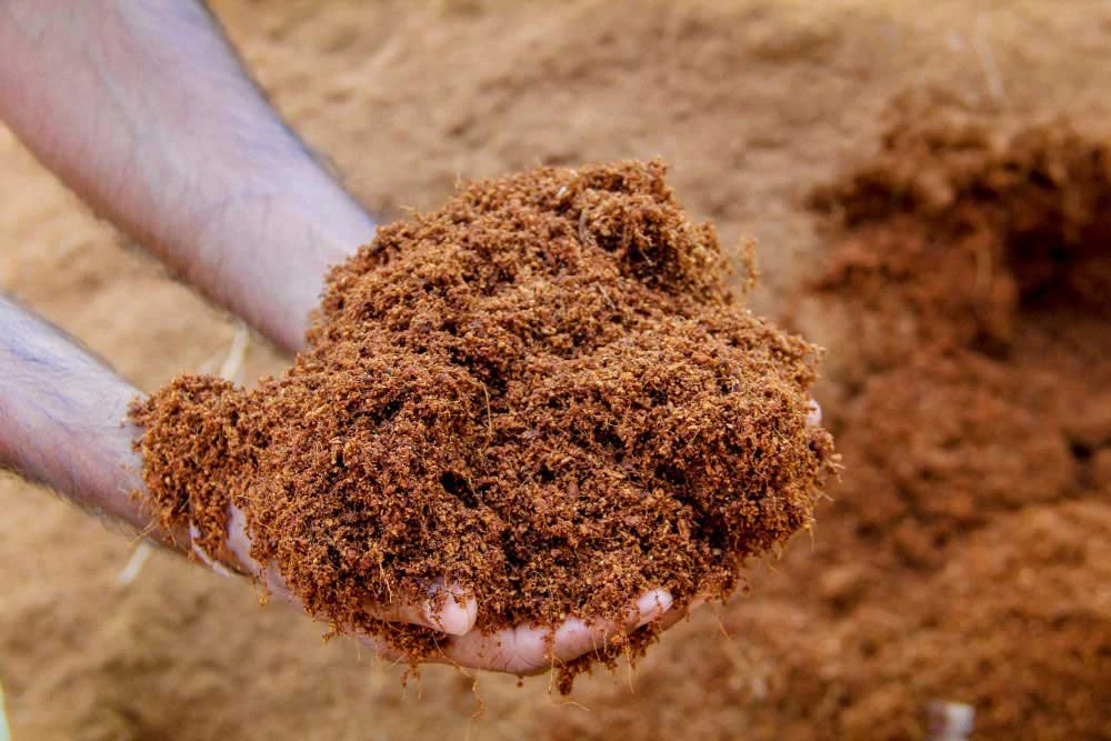 Unveiling the Green Secret: Coco Peat and Coir for Plants - A Comprehensive Guide by PlantBest
