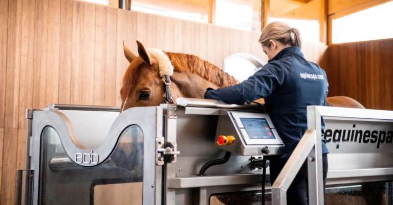 Water Therapy for Horses: Enhancing Equine Health and Performance
