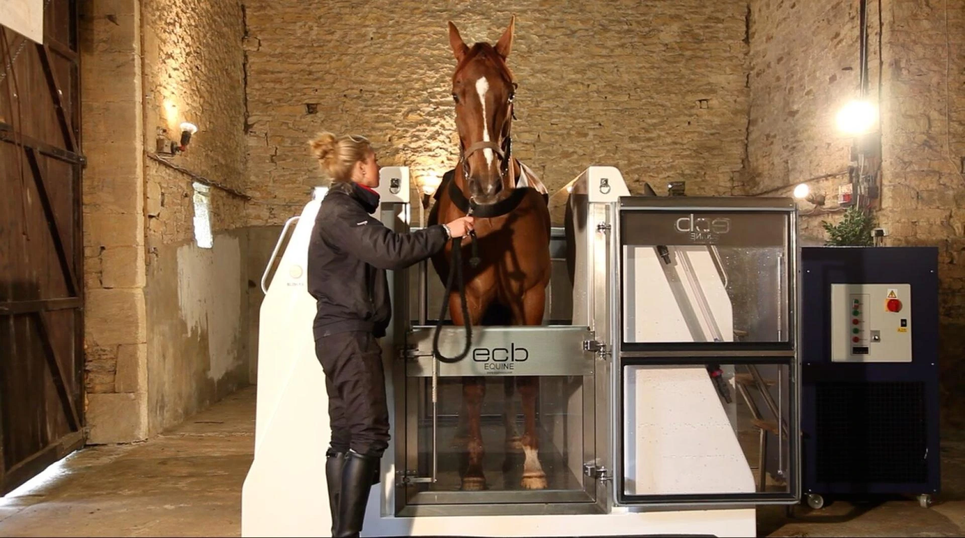 Harnessing the Healing Power: Exploring the Benefits of Equine Spas