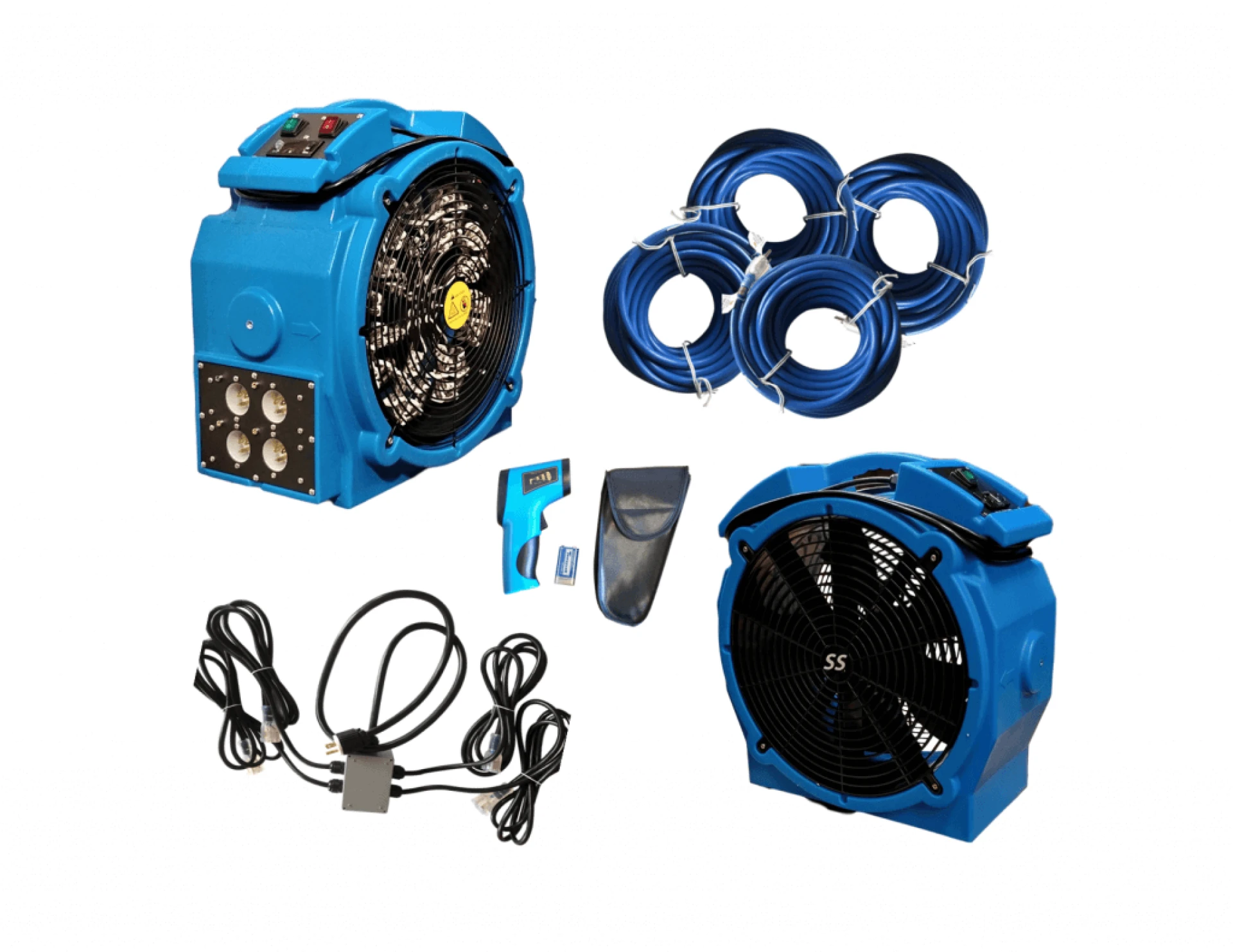 Elimination of Bed Bugs and Other Pests to Make the Home Hygienic and Disease Free