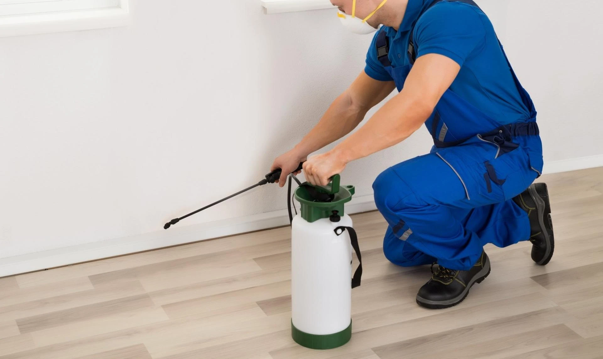 Bed Bug Exterminator to Kill Pests at Your Home