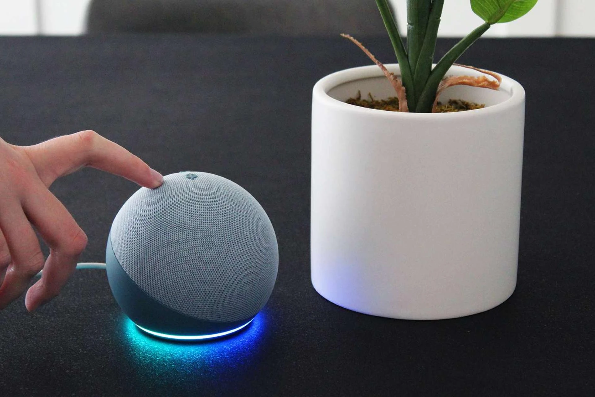 How to Setup Your Amazon Echo Dot to Solve WiFi Problems?