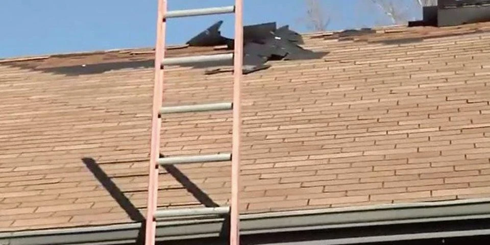 What to Expect from a Professional Roofing Expert