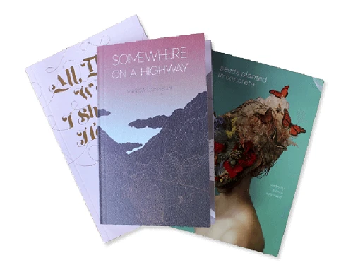 Elevate Your Narrative: A Guide to Professional Book Cover Design